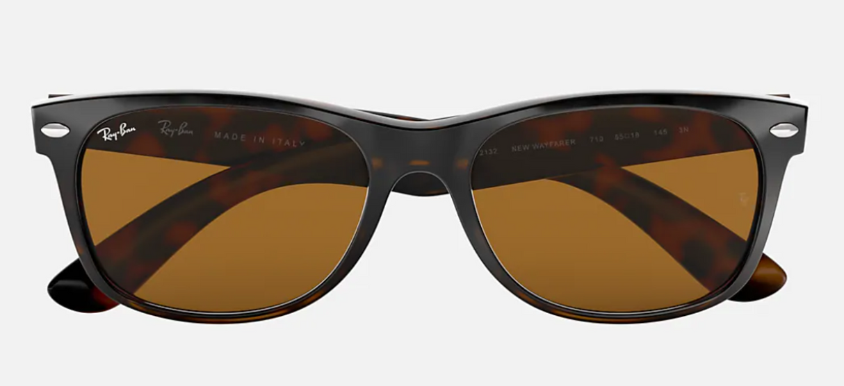 New Wayfarer Tortoise