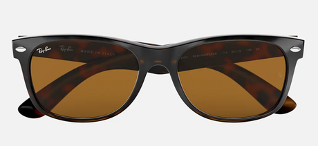 New Wayfarer Tortoise