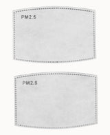 Face Mask m/ 2stk filter