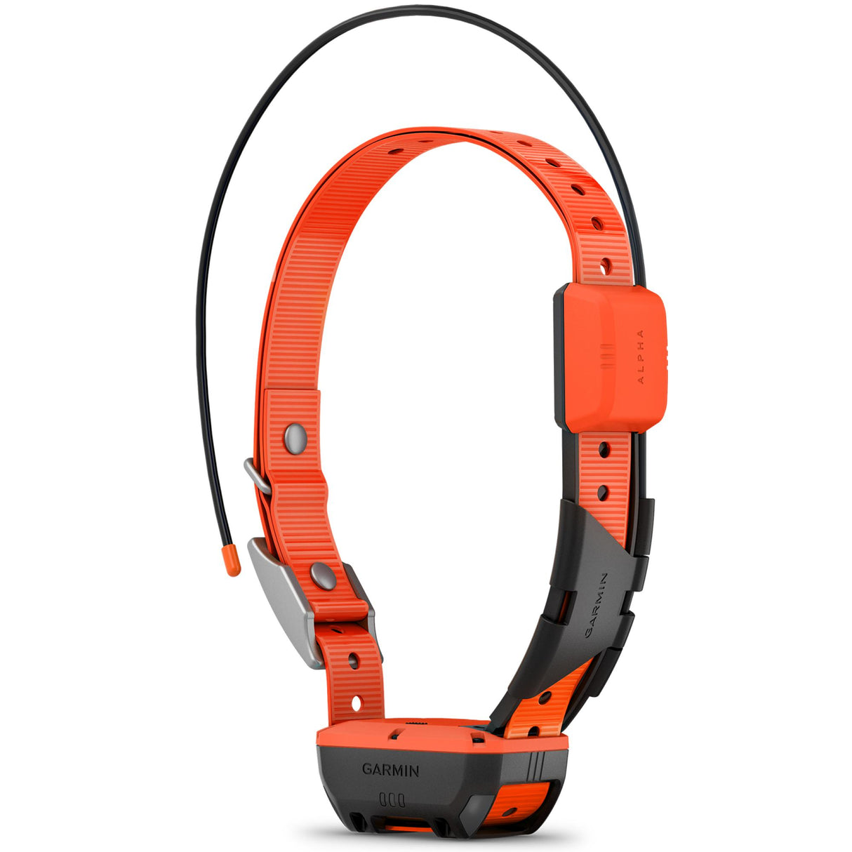 Alpha T20 GPS collar