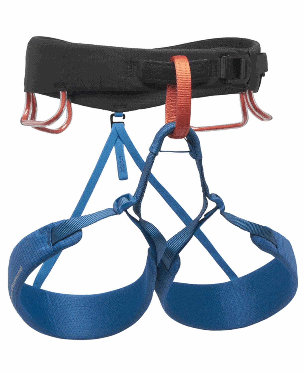 M Momentum Harness