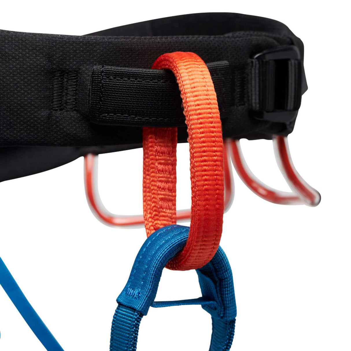 M Momentum Harness