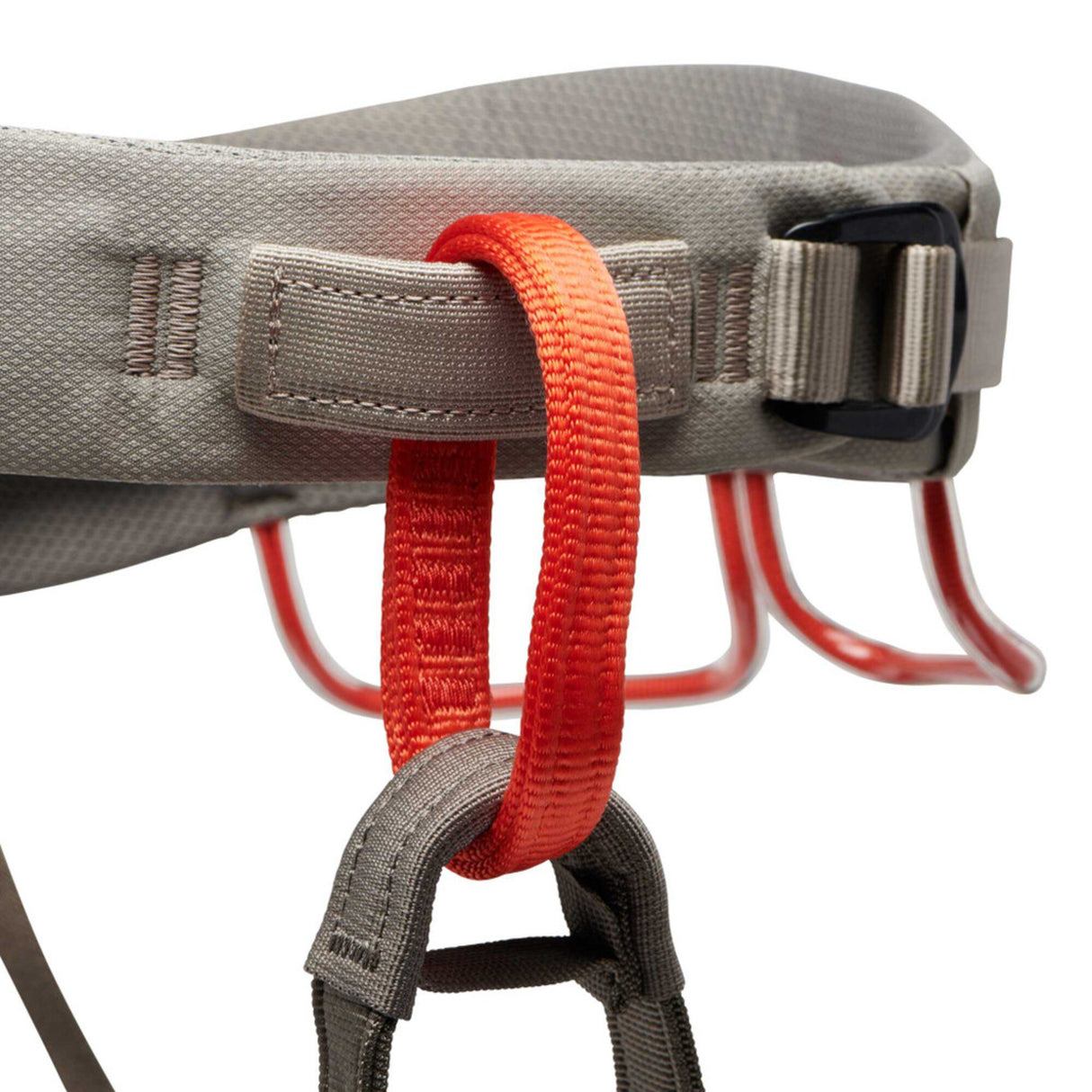 M Momentum Harness