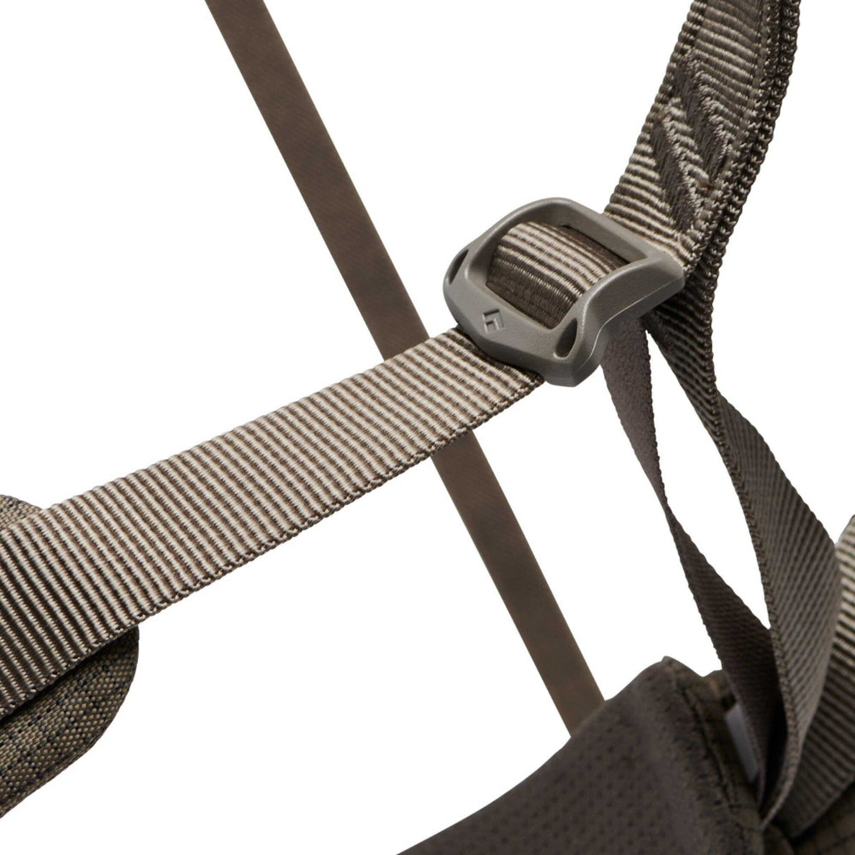 M Momentum Harness